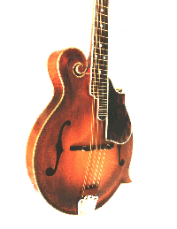 mandolin